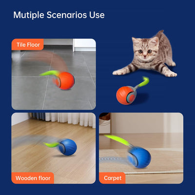 Finally, a toy that lasts.